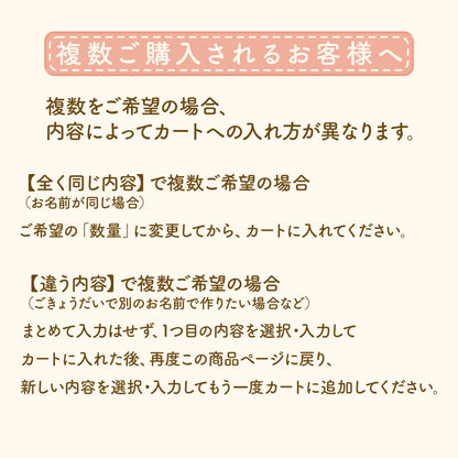 きらきら氷の魔法！雪の結晶お名前ワッペン
